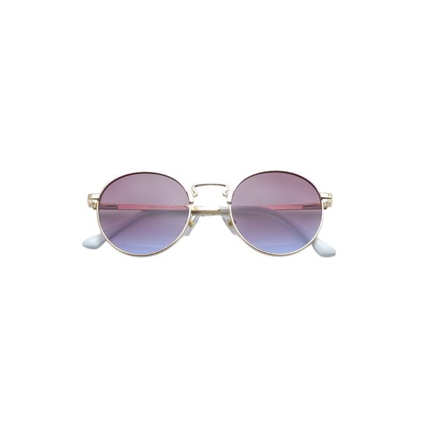 BURGUNDY Unisex  Panto Sunglasses - Image 3